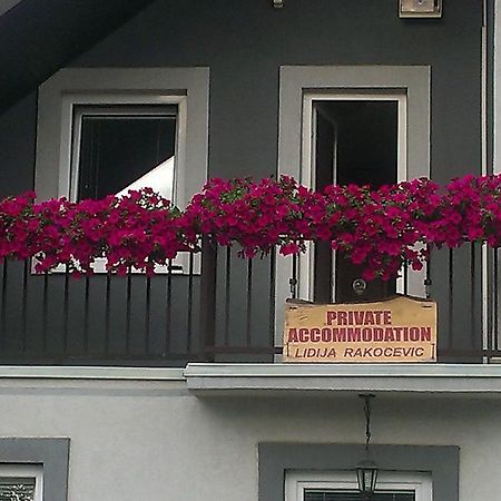 Private Accommodation Lidija Rakocevic Kolaşin Dış mekan fotoğraf