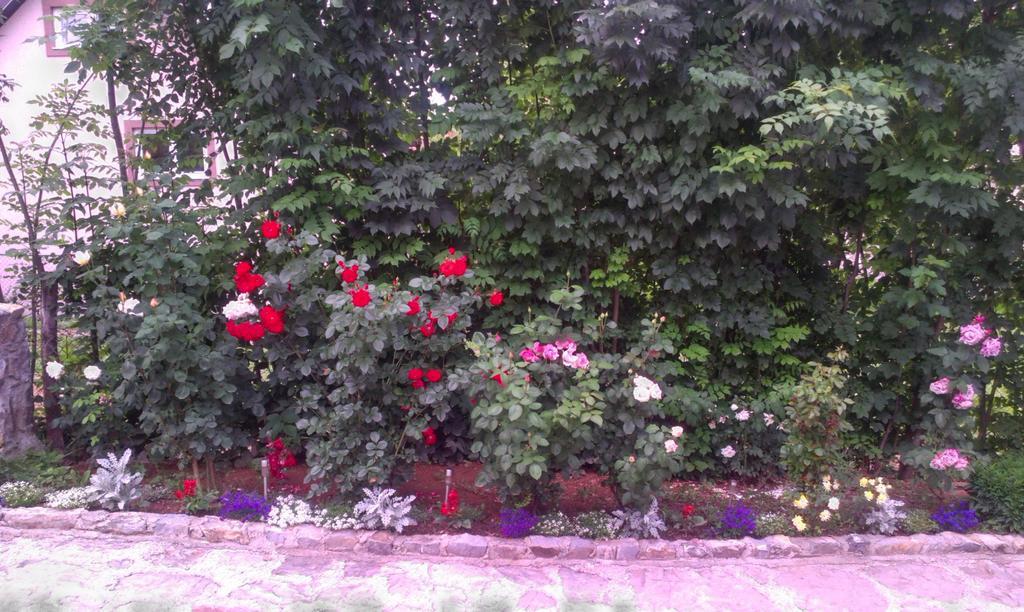 Private Accommodation Lidija Rakocevic Kolaşin Dış mekan fotoğraf