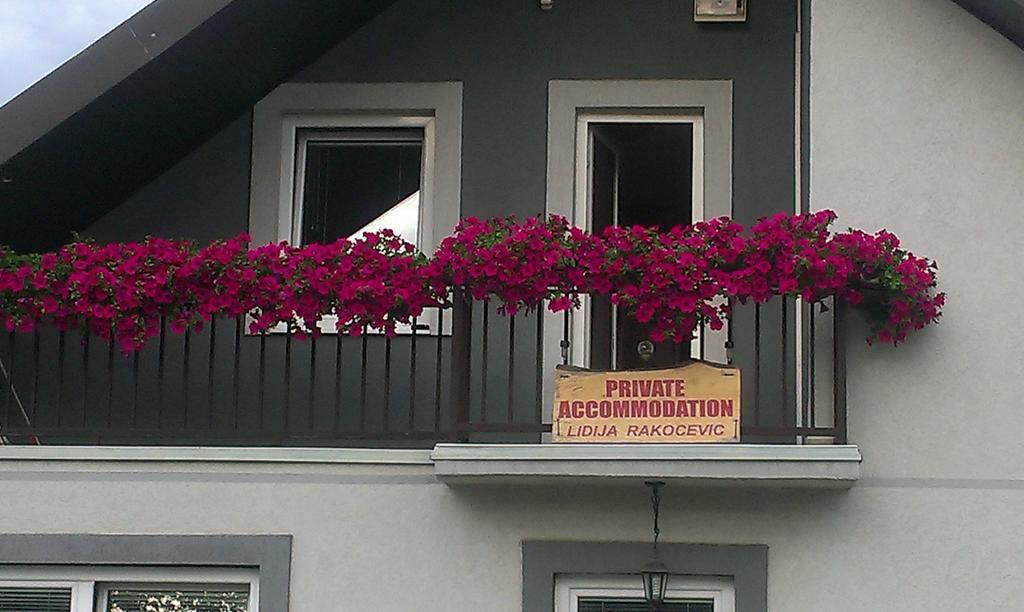 Private Accommodation Lidija Rakocevic Kolaşin Dış mekan fotoğraf